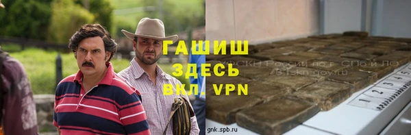 гашик Новозыбков