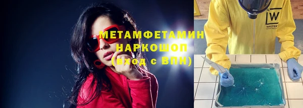 гашик Новозыбков