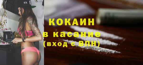 гашик Новозыбков
