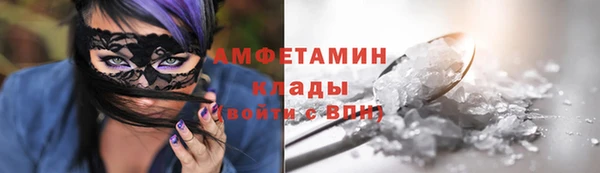 гашик Новозыбков