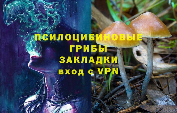 ПСИЛОЦИБИНОВЫЕ ГРИБЫ Новодвинск
