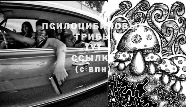 jwh Новокубанск