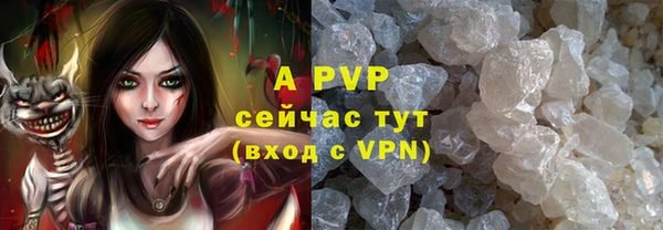 ПСИЛОЦИБИНОВЫЕ ГРИБЫ Новодвинск